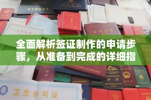 酉阳全面解析签证制作的申请步骤，从准备到完成的详细指南